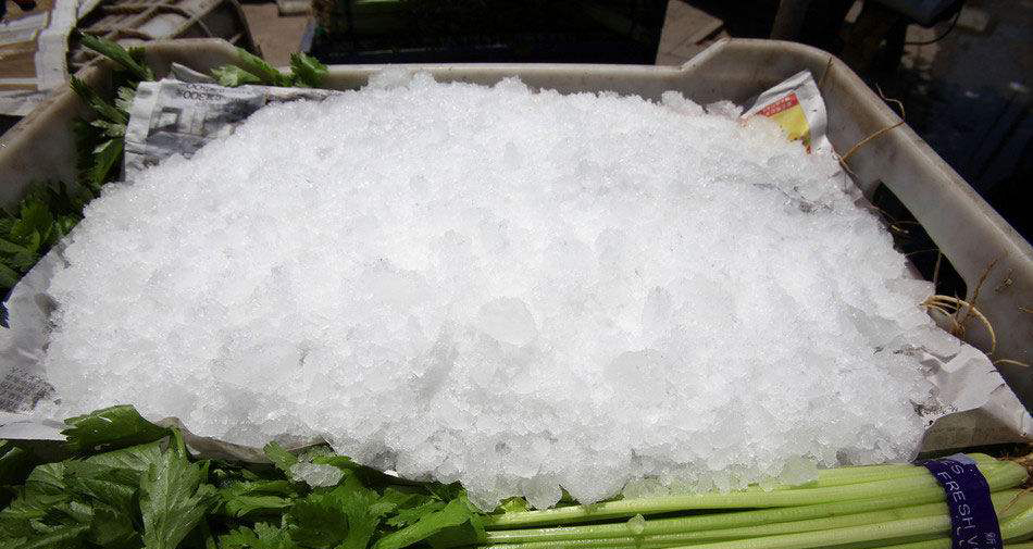 雪花制冰机蔬菜降温保鲜实例