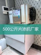 华豫兄弟500公斤片冰机：助力中山